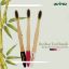 Picture of Avino Eco Friendly Natural Wooden Vegan Organic Toothbrushes for Sensitive Gums PK-3